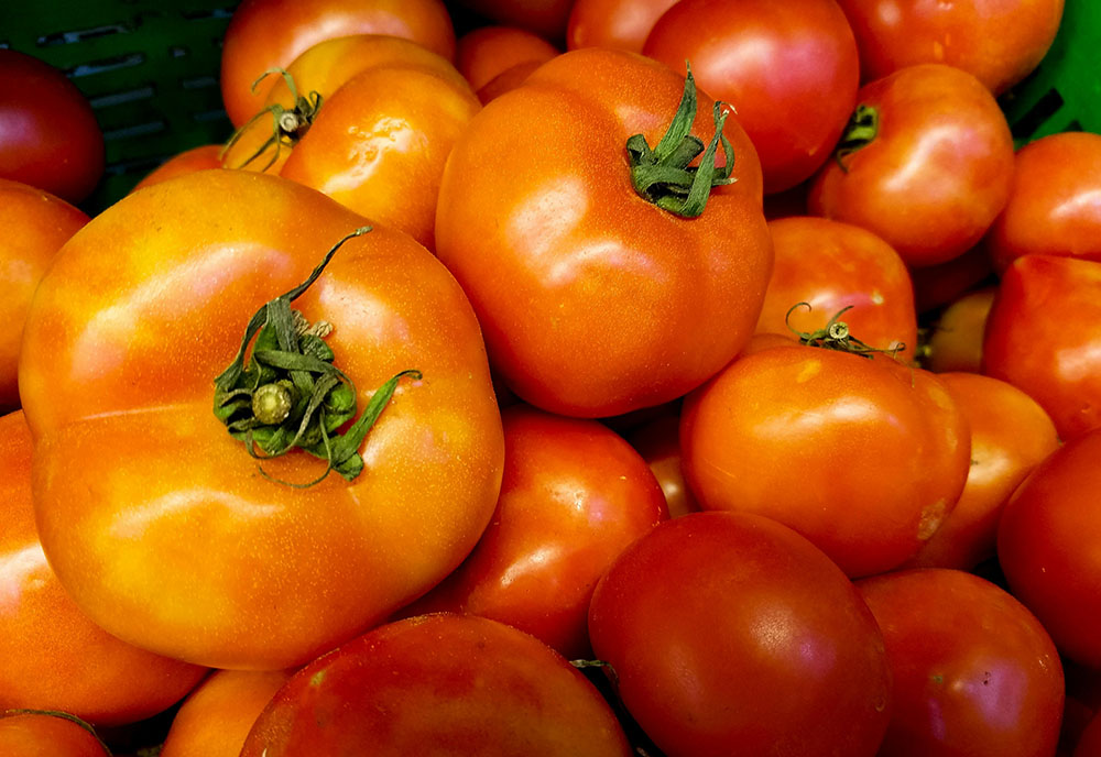 palo alto farmers market