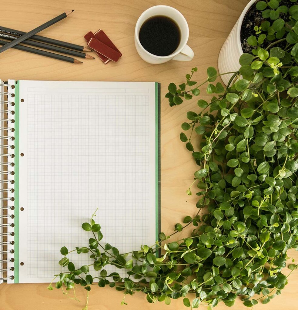 best brunch sf bay area